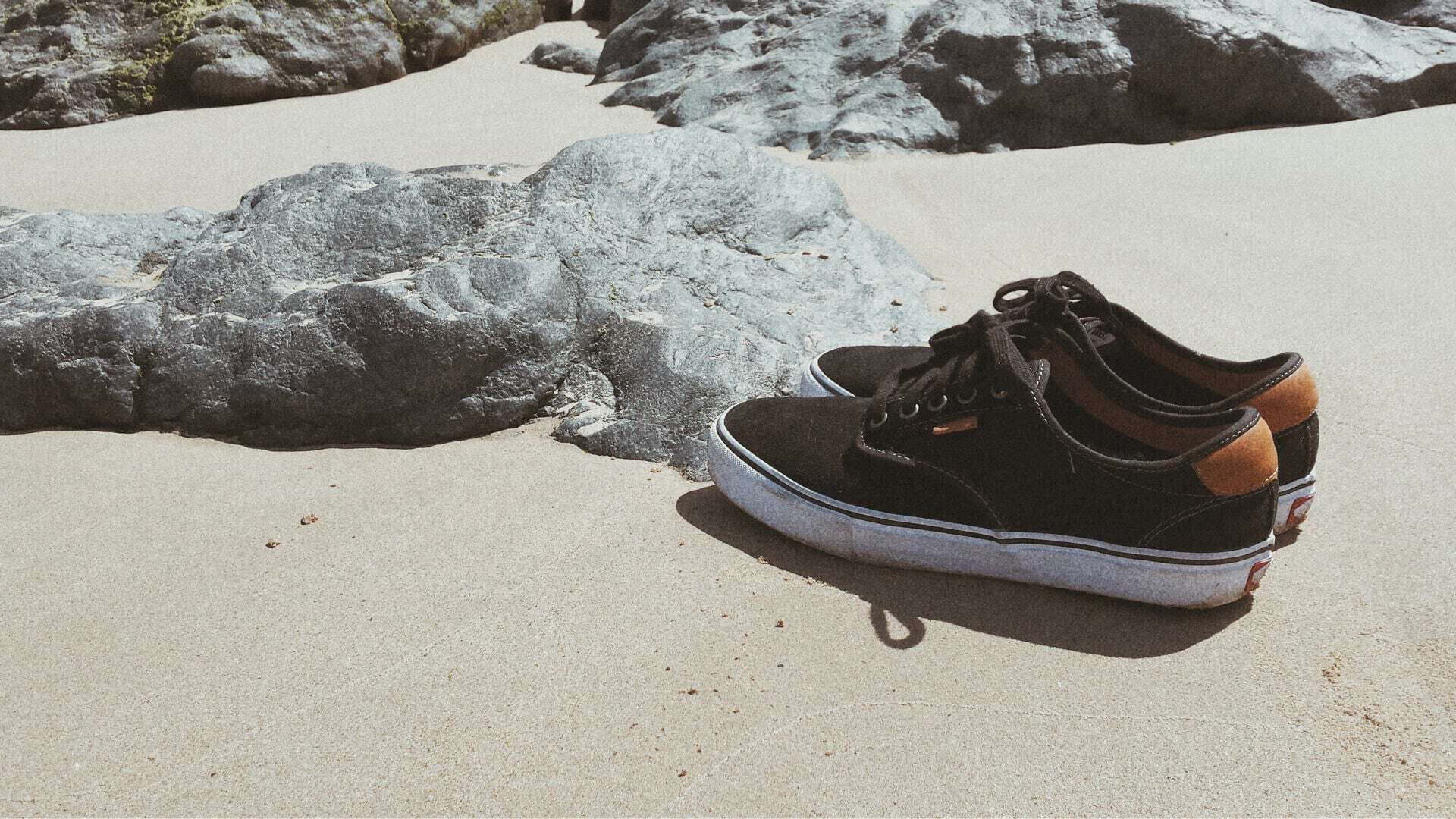 Vans shoes